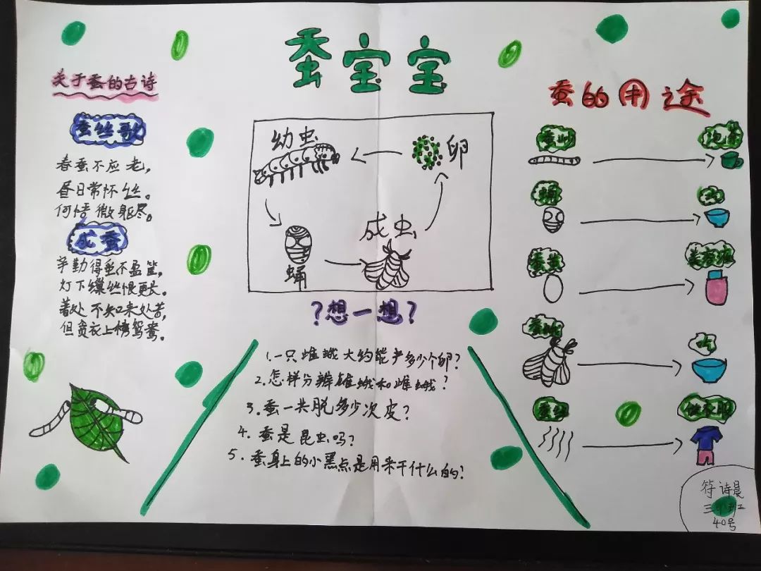 【科技节】观察日记我最爱——砂子塘万境水岸小学三年级科技节活动