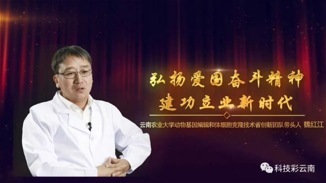 魏红江教授为异种器官移植临床化的梦想努力奋斗