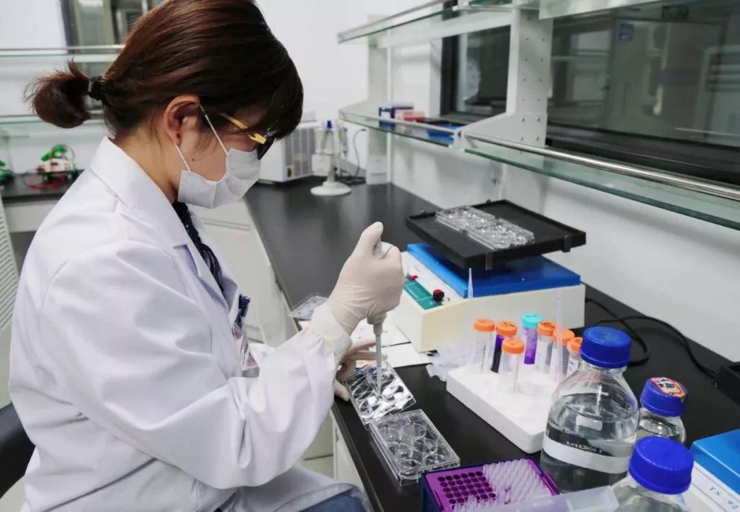 生物技术研发外包：创新与效率并行的新选择