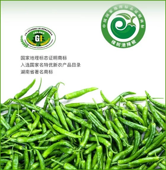 第373场美食美酒交流品鉴活动天下第一椒樟树港辣椒