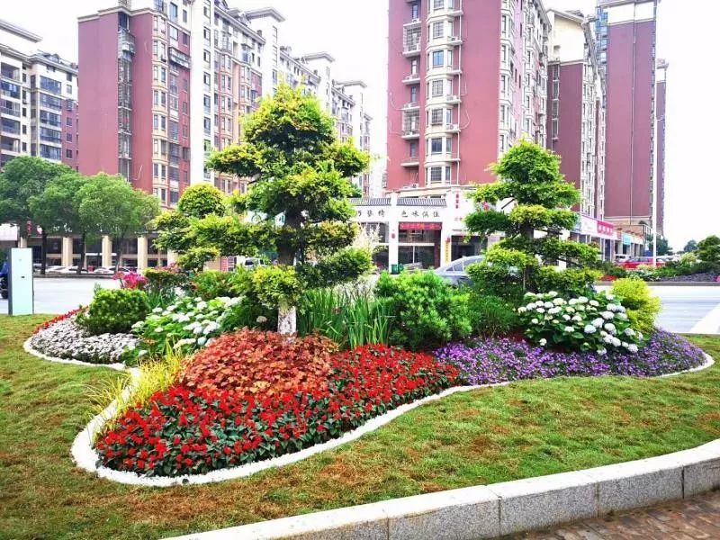 广兰大道绿化端头景观提升工程顺利完工