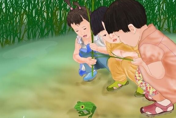 儿时崇明乡村的夏天这些有趣的事你还记得吗
