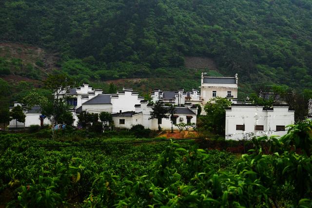 当涂万山村景区图片