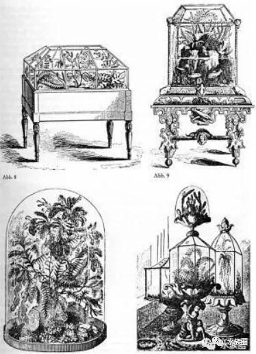 看看世界鱼缸水族箱发展史带你追溯水族历史未来可期