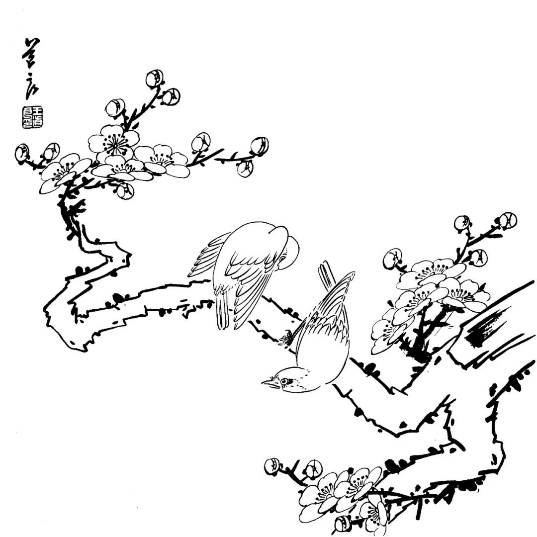 你想要的工笔花鸟白描线稿,都在这了!_国画