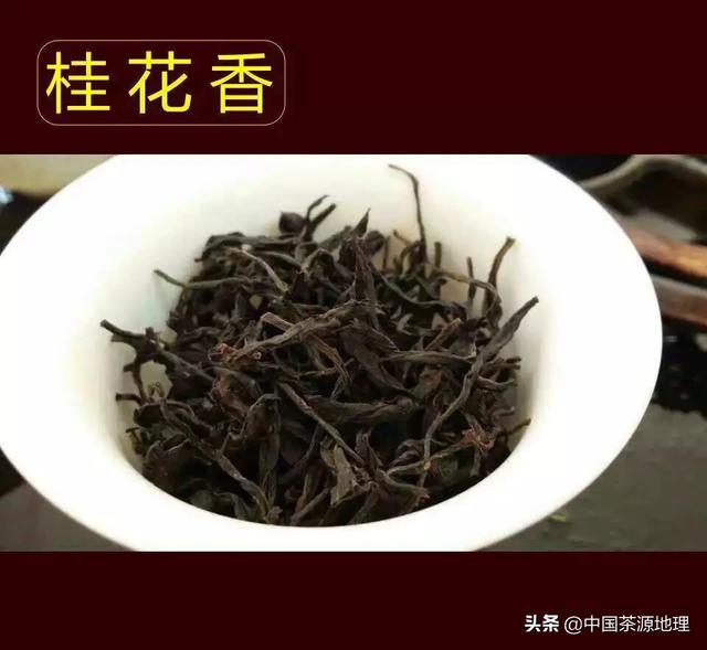 桂花香单丛,花香飘万里!