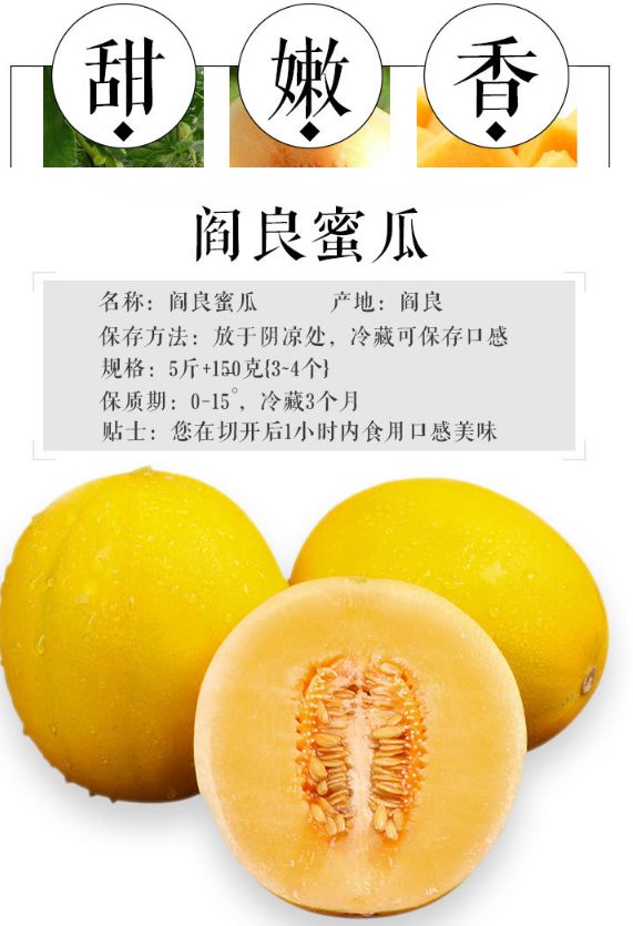 水果团阎良甜瓜黄金蜜瓜脆甜多汁果园现摘让你尝到新鲜的味道