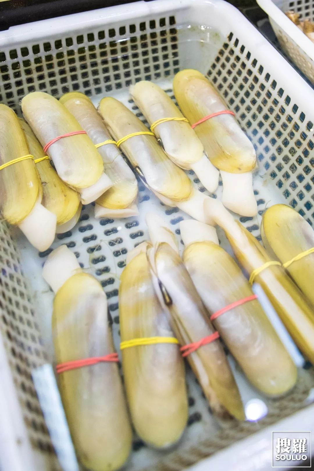 8天快闪红星二锅头火焰蚝王节今日开始