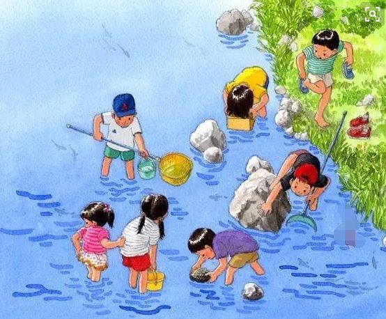 儿时崇明乡村的夏天这些有趣的事你还记得吗