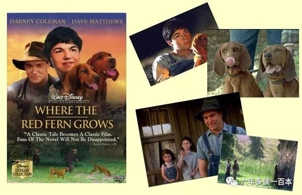 整本书红色羊齿草的故乡导读二