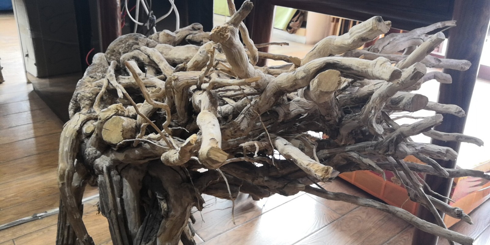 五台山奇木六道木