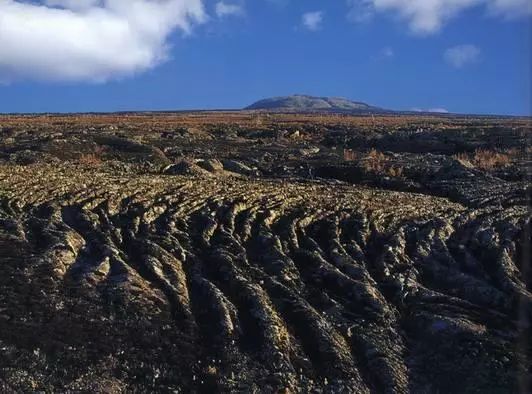 这个火山岩大米忒有特点啦熔岩台地土质种出来的营养杠杠滴