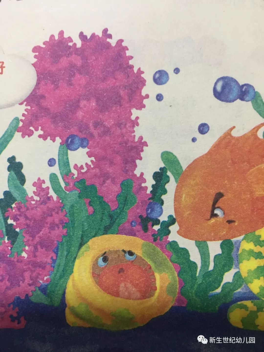 包头市新生世纪幼儿园绘本电台海葵与寄居蟹