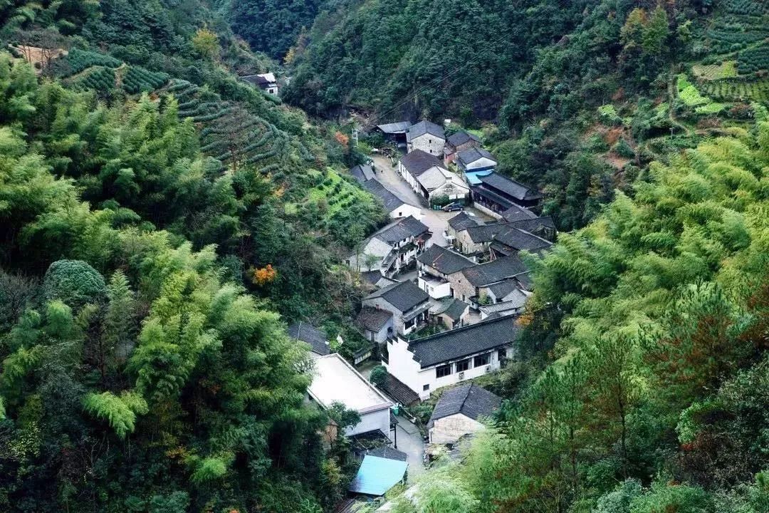 初夏亲子 | 6月7日 休闲小泉溪戏水,抓溪水鱼,访外婆坑民族村一体验打