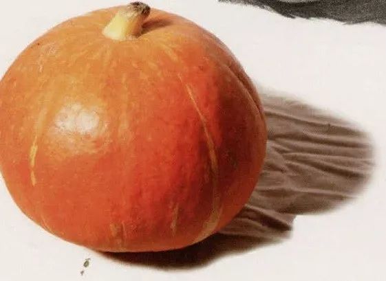 超强干货丨全网最全面的南瓜色彩静物教程