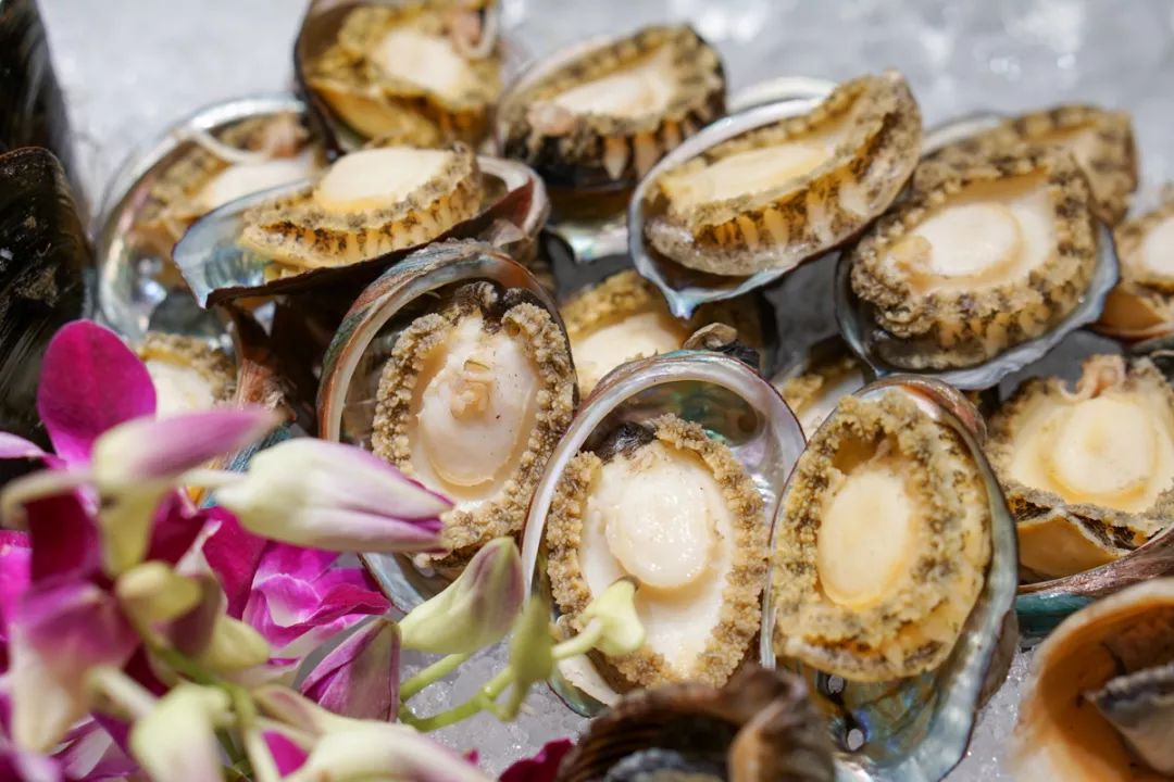 杭州06298起位鳌虾鲍鱼生蚝畅吃台州现炒海鲜小龙虾竟有11种口味