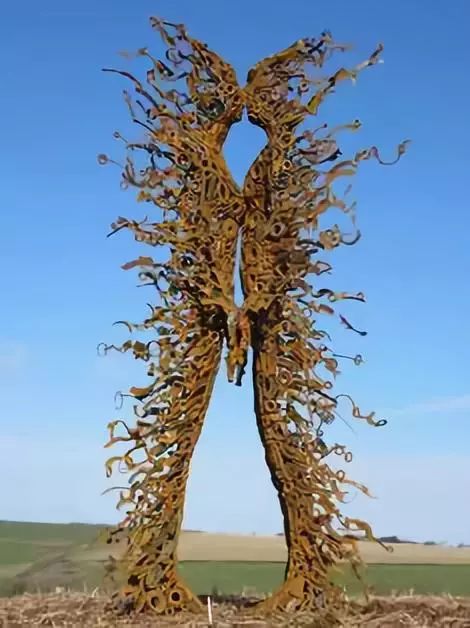 这些树都成精了吧太神奇了99的人都没看过