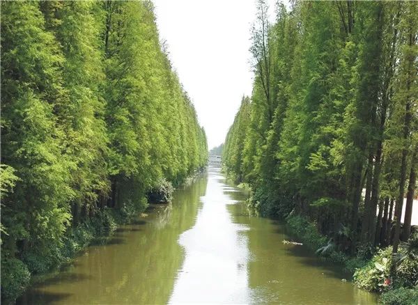 江海区未来三年内发展逆天教育交通旅游经济发展同发力