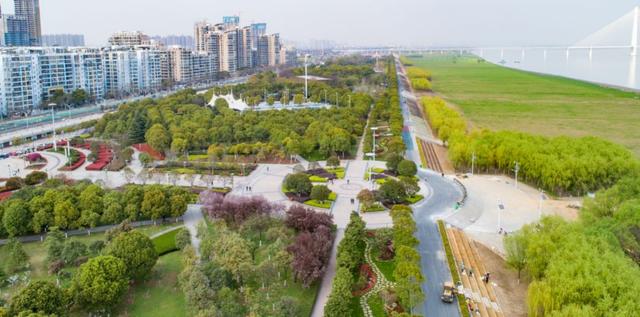 入夏的武汉仍有花海汉口江滩等你来打卡