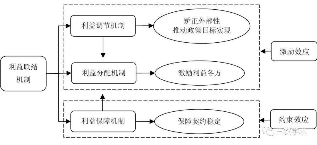 工商資本參與鄉村振興的利益聯結機制