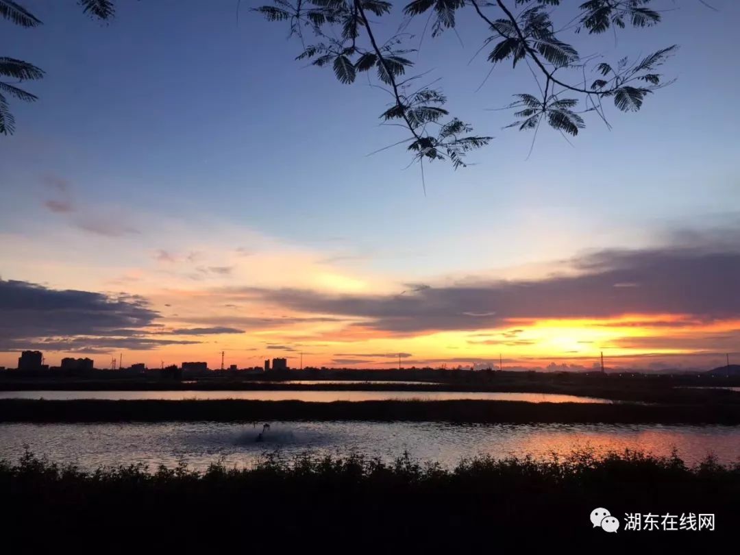 汕尾湖东镇景点图片