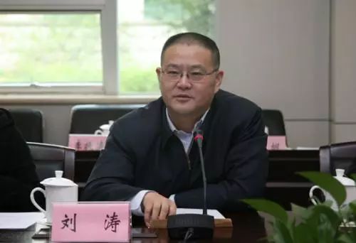 未满16岁上大学的刘涛当选青海副省长