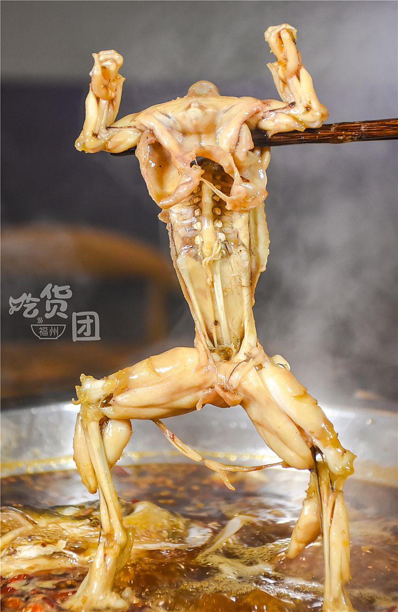 肌肉健壮的牛蛙