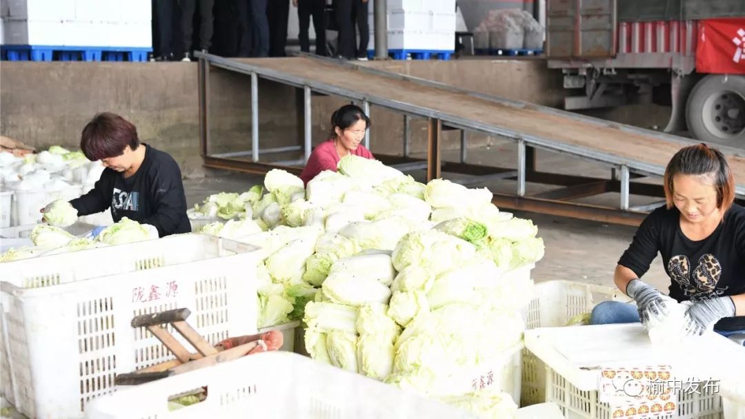 粤港澳大湾区菜篮子工程兰州高原夏菜榆中专供基地建设项目在榆中县