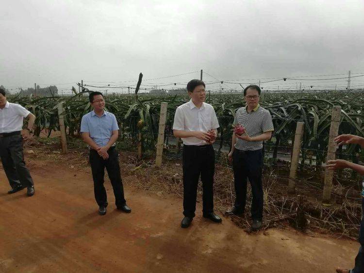 县长陈政到杨柑镇调研精准扶贫,拆旧复垦和美丽乡村建设