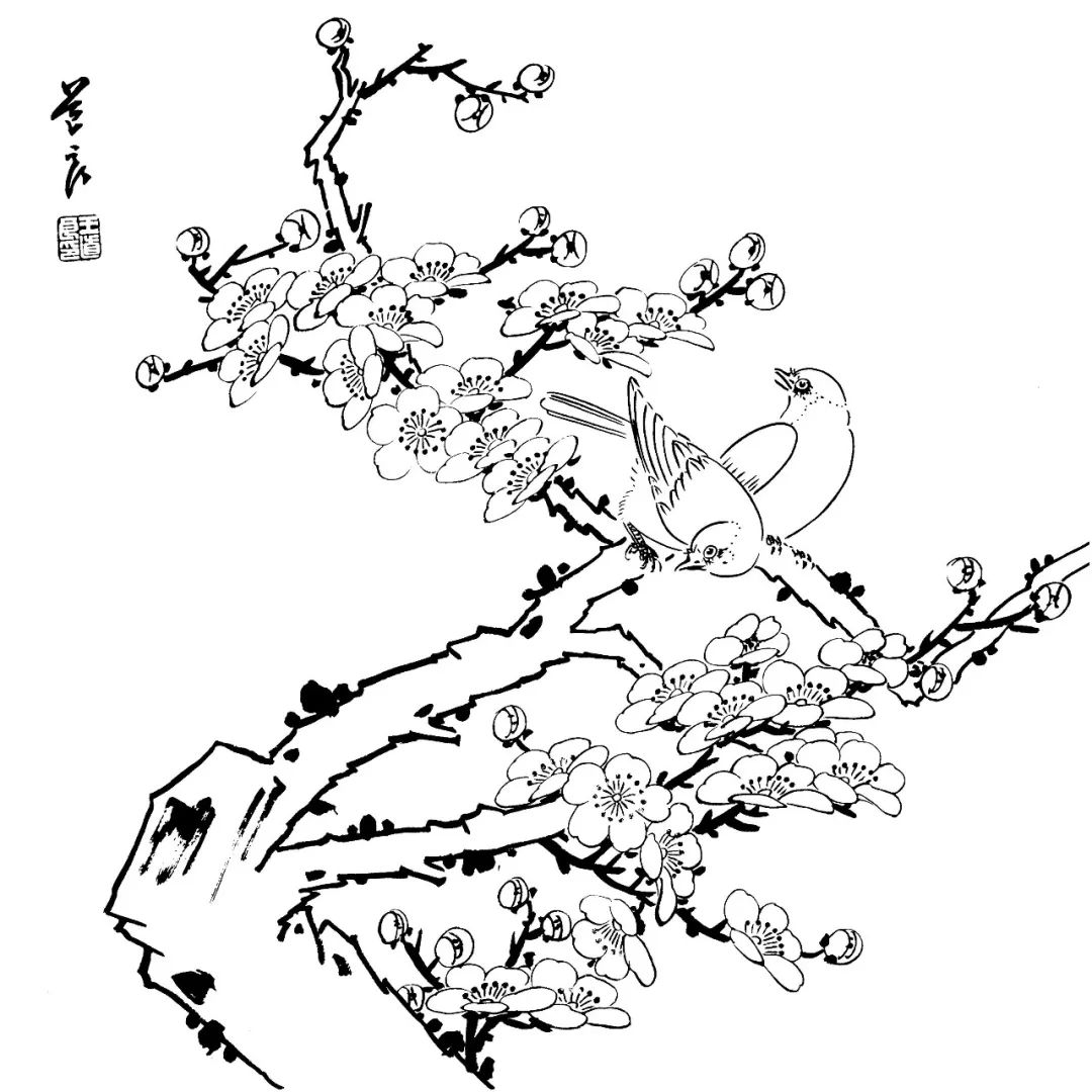 你想要的工笔花鸟白描线稿,都在这了!_国画