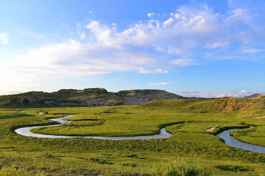 一夏清凉丨来锡林郭勒就对了