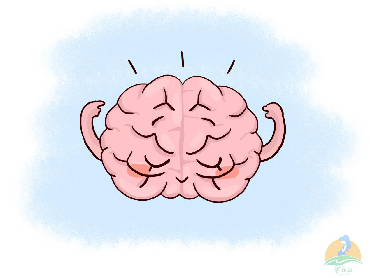 哈佛研究:儿童的大脑发育高峰仅有3次,错过将影响孩子一生