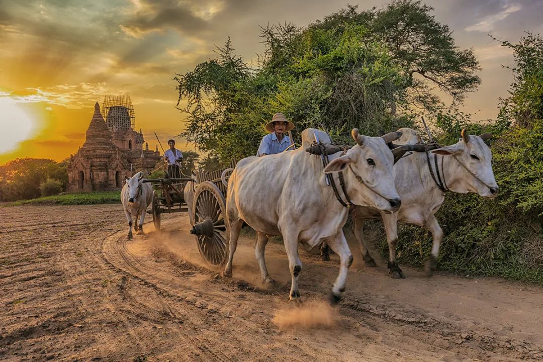 0!大小s的高分旅行综艺,竟然藏在东南亚的这个秘境!_缅甸