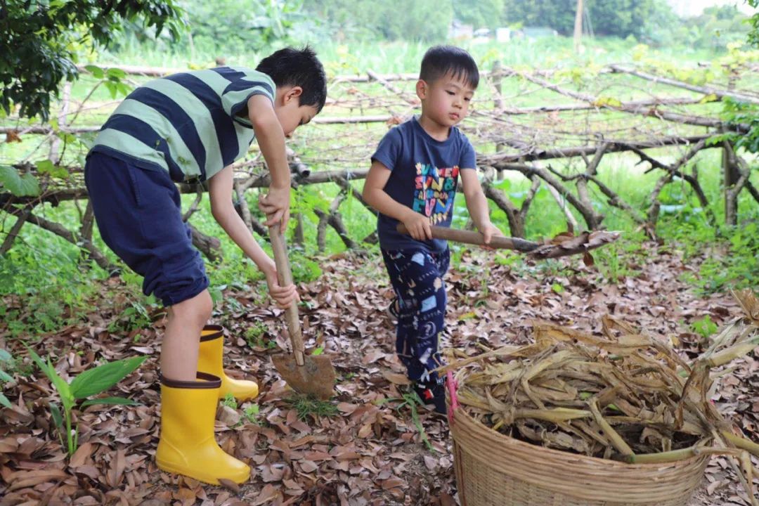 62开启朴门永续美好生活第二期朴门自然教育工作坊最后召集