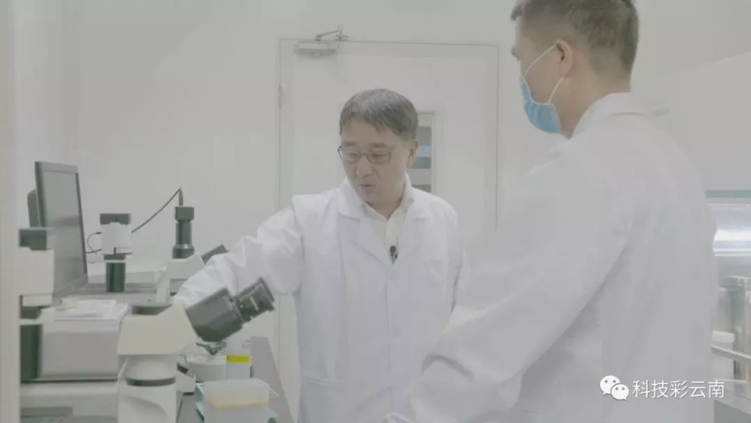 魏红江教授为异种器官移植临床化的梦想努力奋斗