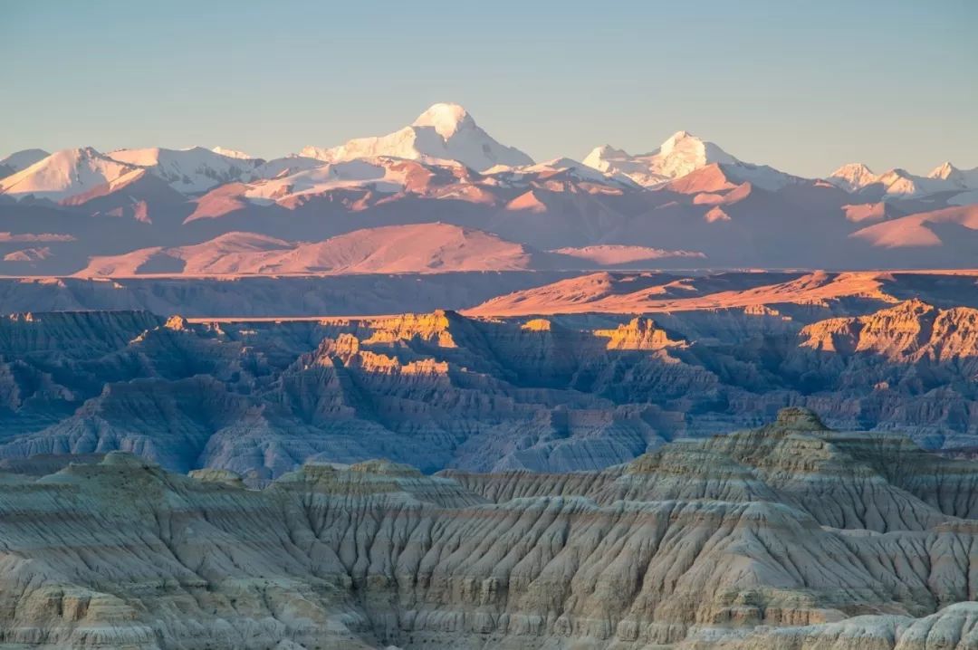 出发,驶向荒野!