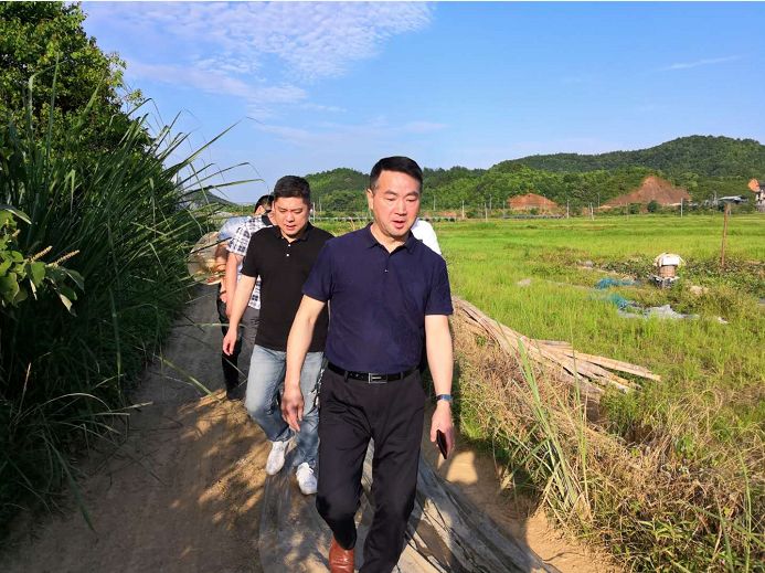 头条王君儒主持召开第六片区征地拆迁工作分析会