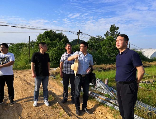 头条王君儒主持召开第六片区征地拆迁工作分析会