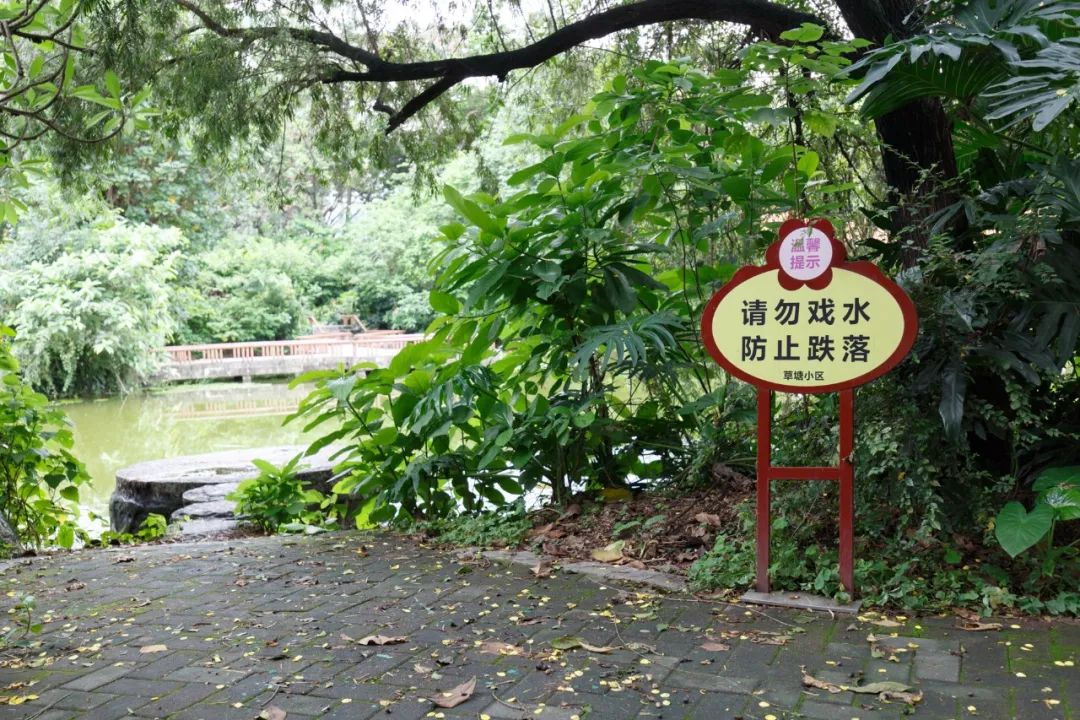 市桥社区方面表示,除了加强巡查,社区还在湖边设置防溺水警示牌.