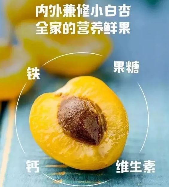 7973小白杏含各种氨基酸,消化酶,杏仁甙等16种