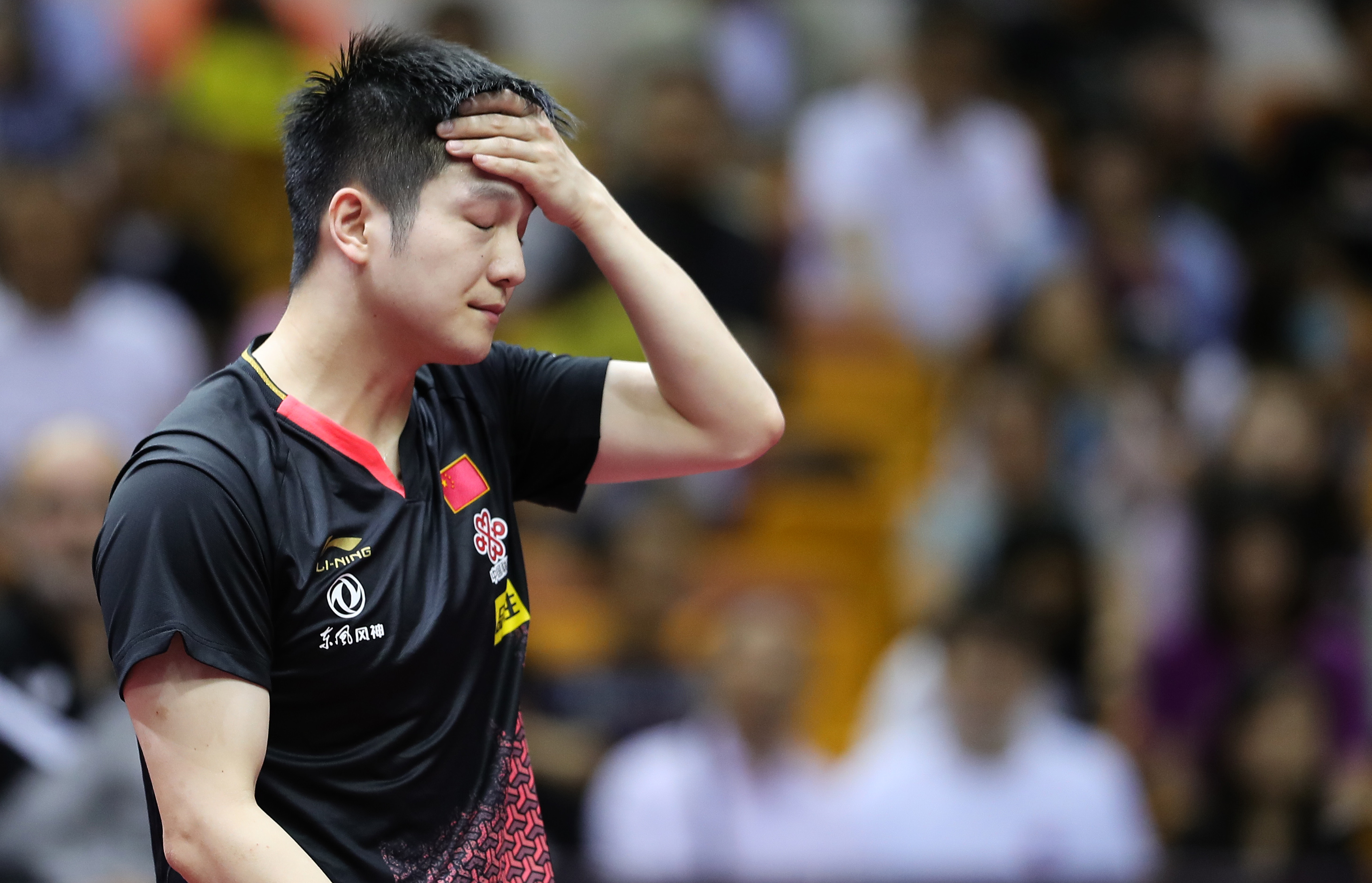 乒乓球中国公开赛樊振东晋级八强