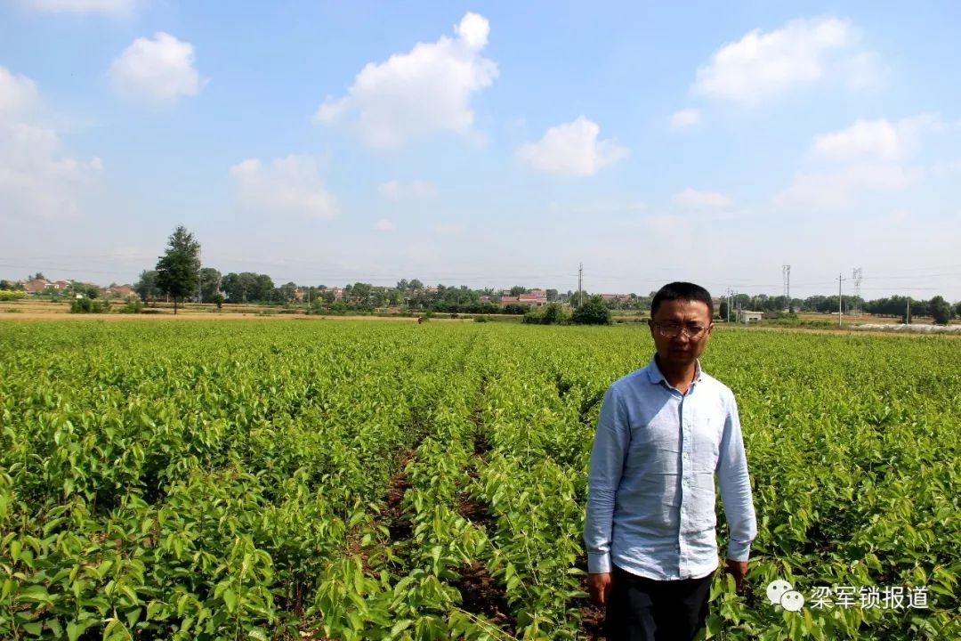 大樱桃苗木繁育基地从2006年到如今,在这期间,虽然有失败的打击,但在