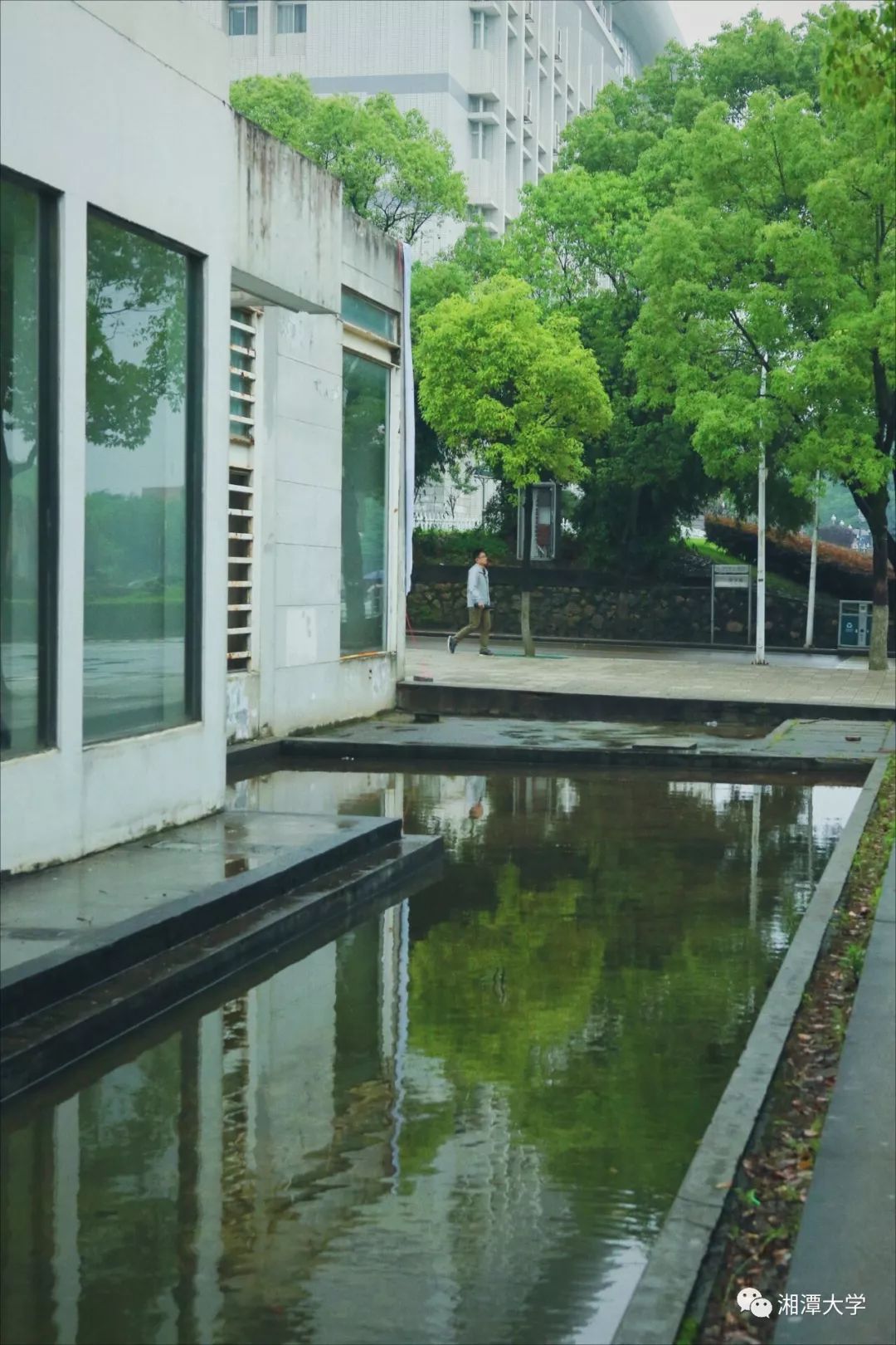 叶叶心心舒卷有馀清骤雨初歇,鱼儿也浮出水面呼吸清新的空气.