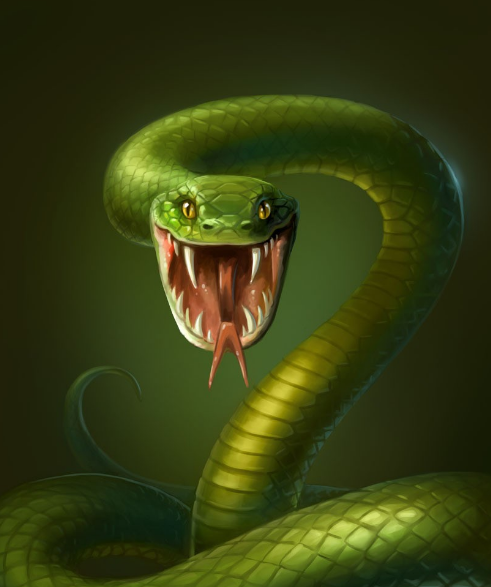 属蛇的人2020全年运势及运程属蛇2020年每月运程