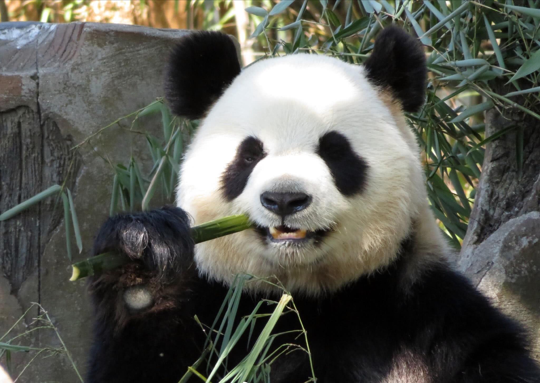 就这样的照片看到都以为是表情包呢