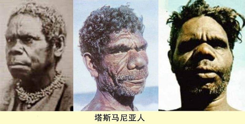 最后灭绝的人种, 1876年被澳大利亚当局赶尽杀绝