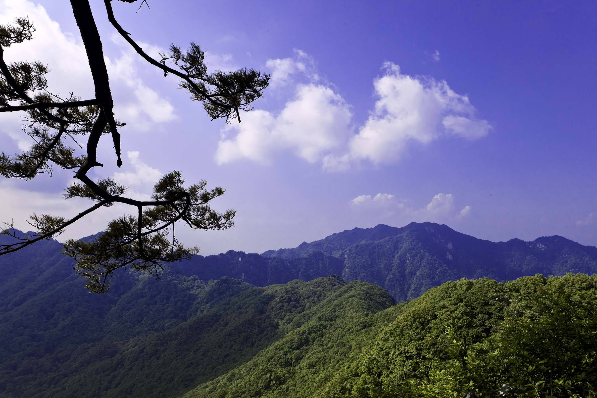 宝天曼景区图片图片