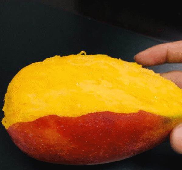 一边是爱人一边爱文芒爱文芒是芒果长得像红宝石刚刚成熟直接邮寄到你