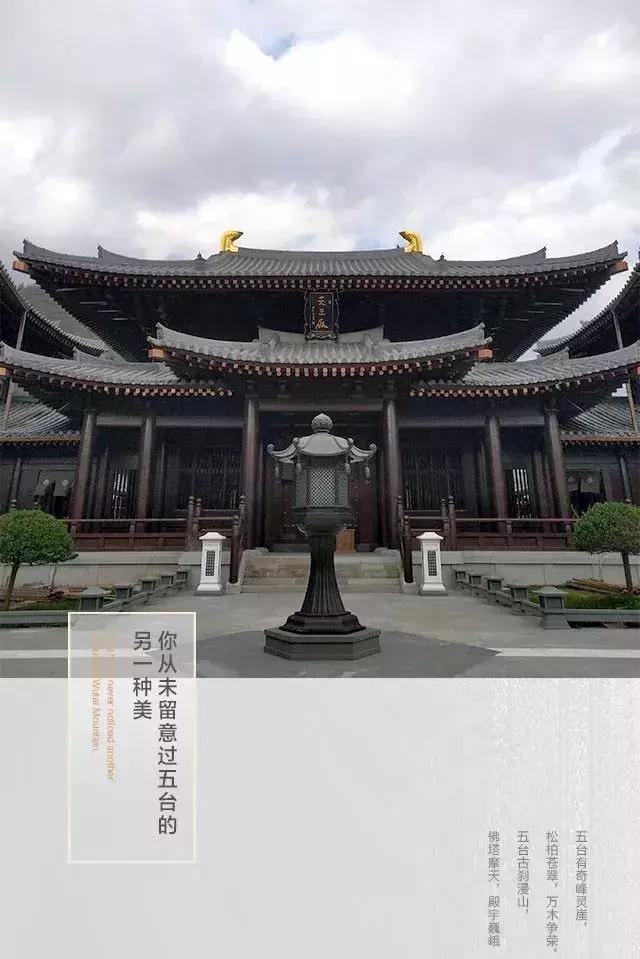 固知业已白,此来石壁空.能不为禅缚,区区几劫功.