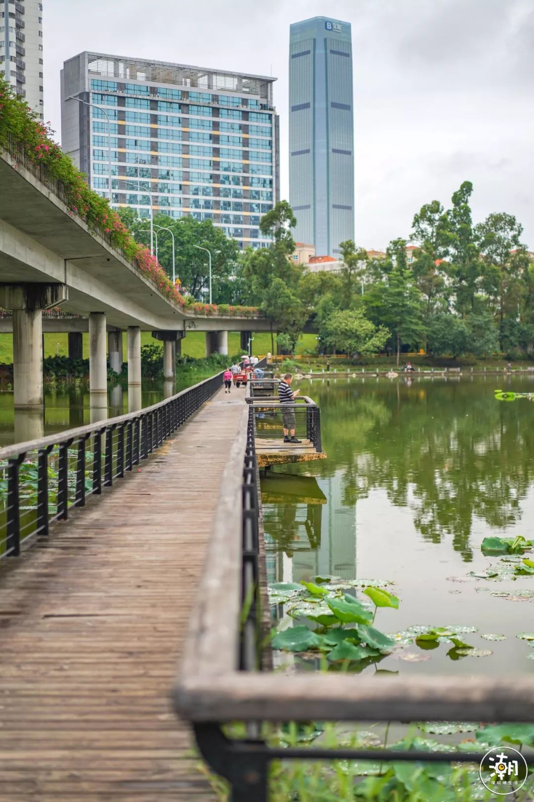 深圳市罗湖区洪湖公园(文锦北
